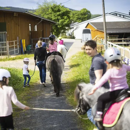 Апартаменты Hardthof Sauerland Шмалленберг