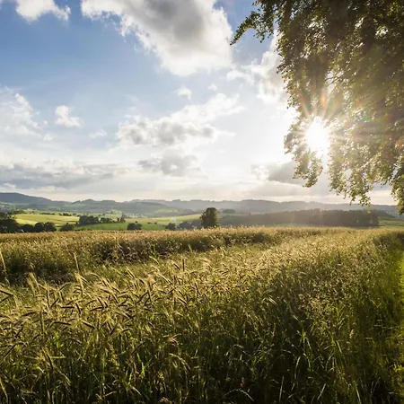 Hardthof Sauerland Апартаменты Шмалленберг